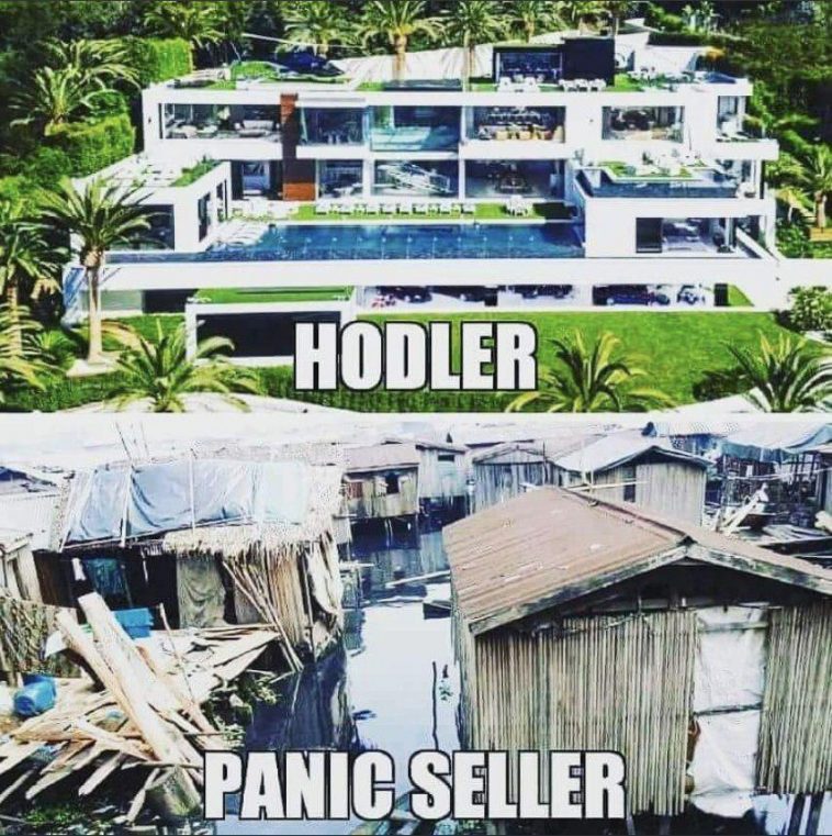 HODL vs Panic Sell
